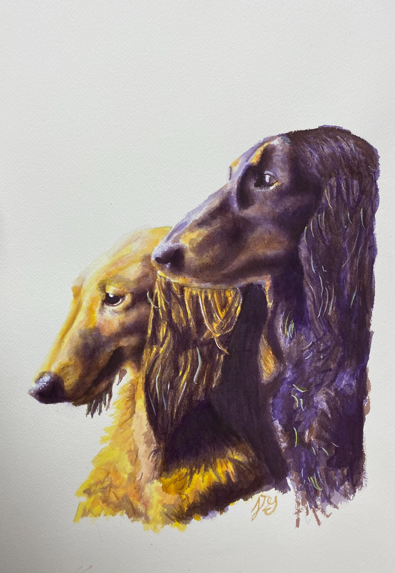 Watercolor portrait of two long-haired dachshunds in golden and deep purple tones